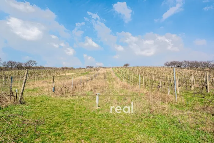 Prodej ubytování, Bořetice, 90 m2