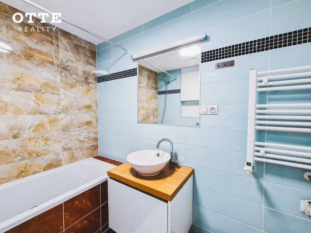 Pronájem bytu 2+kk, Plzeň, Šafaříkovy sady, 59 m2