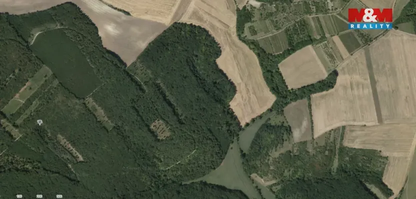 Prodej lesa, Klobouky u Brna, 11688 m2