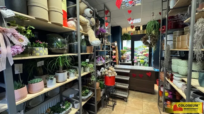 Pronájem obchodního prostoru, Brno - Brno-město, 26 m2