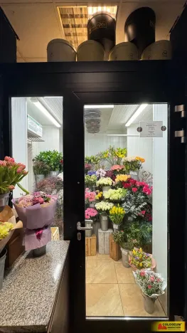 Pronájem obchodního prostoru, Brno - Brno-město, 26 m2