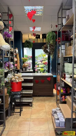 Pronájem obchodního prostoru, Brno - Brno-město, 26 m2