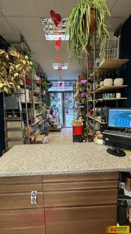 Pronájem obchodního prostoru, Brno - Brno-město, 26 m2