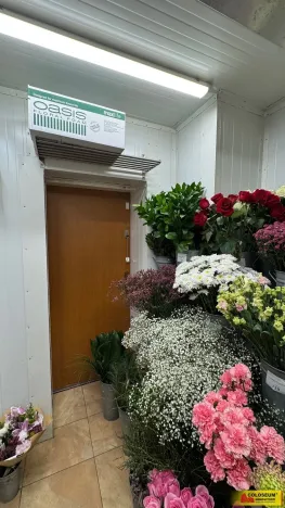 Pronájem obchodního prostoru, Brno - Brno-město, 26 m2