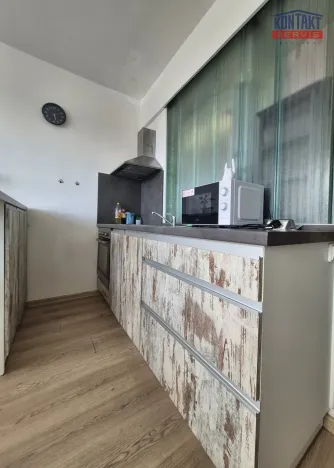 Pronájem bytu 1+kk, České Budějovice, Puklicova, 21 m2