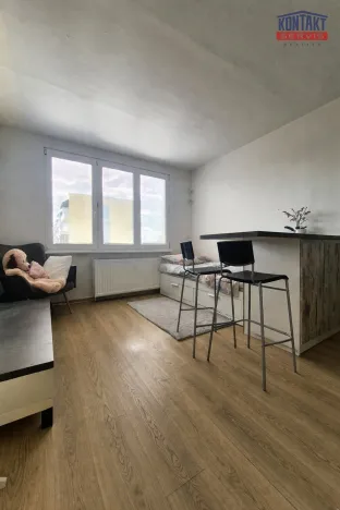 Pronájem bytu 1+kk, České Budějovice, Puklicova, 21 m2