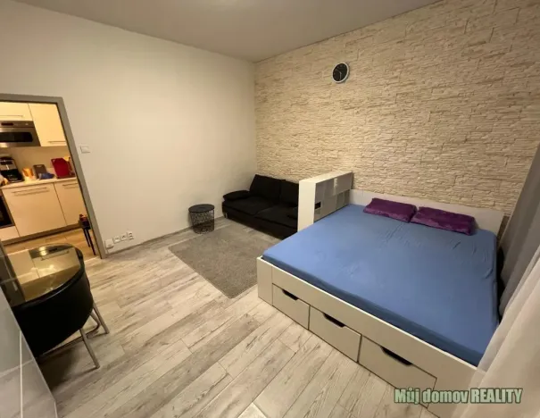 Pronájem bytu 1+kk, Praha - Nové Město, Krakovská, 36 m2