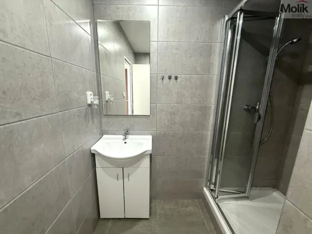 Pronájem bytu 1+1, Litvínov - Horní Litvínov, Tylova, 37 m2