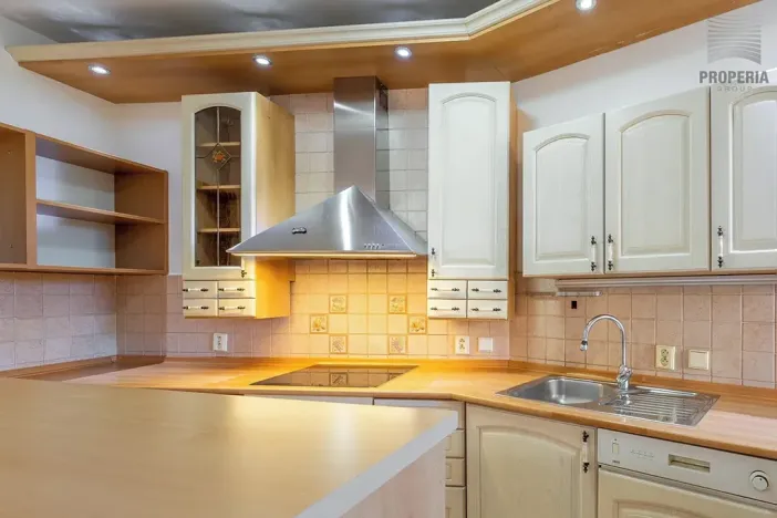 Prodej bytu 4+kk, Brno, 171 m2