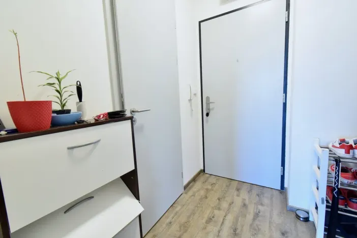Pronájem bytu 1+kk, Brno - Černá Pole, třída Generála Píky, 30 m2