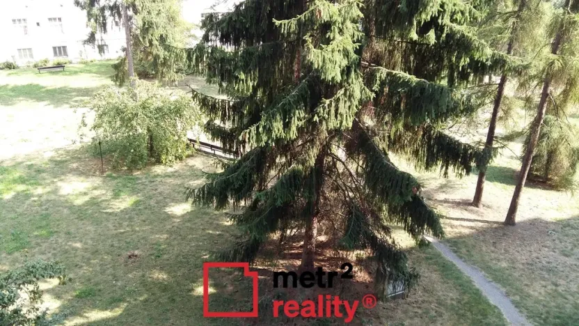 Pronájem bytu 1+1, Olomouc, Šmeralova, 48 m2