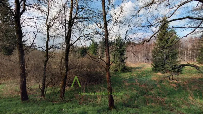 Prodej louky, Přední Výtoň, 13899 m2