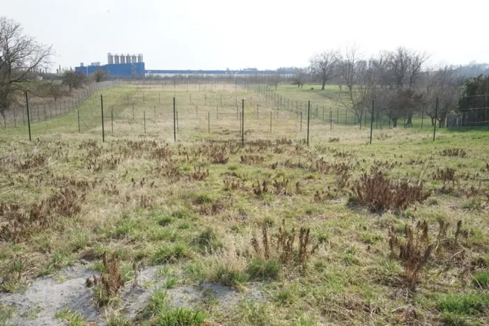 Pronájem zahrady, Jaroměř, Slovenská, 384 m2