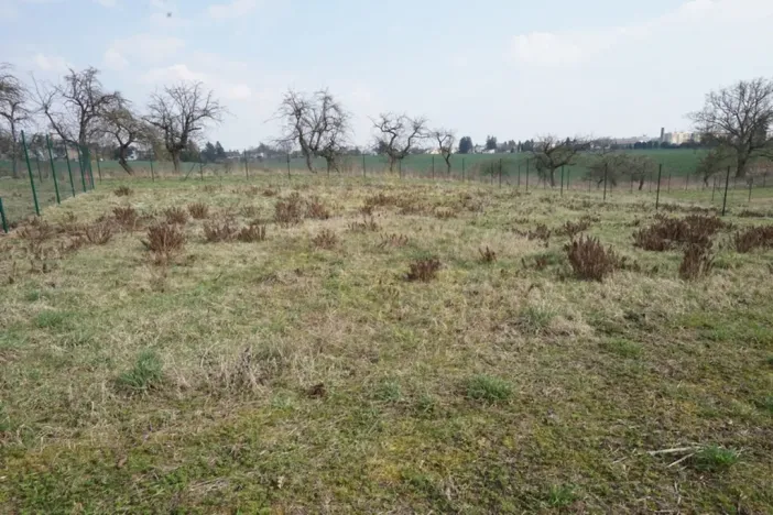 Pronájem zahrady, Jaroměř, Slovenská, 384 m2