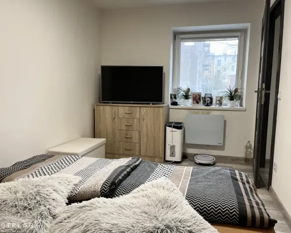Pronájem bytu 3+1, Opava - Předměstí, Alšova, 60 m2