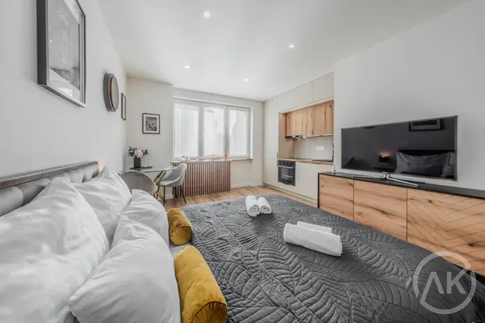 Pronájem bytu 1+kk, Ostrava - Poruba, Sokolovská, 25 m2