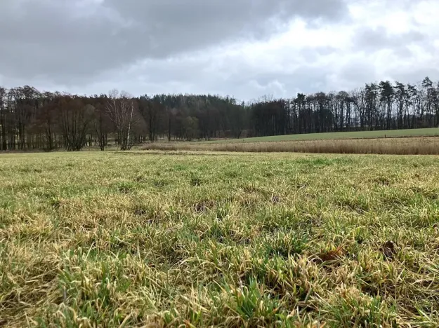 Prodej pole, Dolní Město, 124655 m2