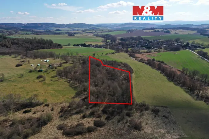 Prodej lesa, Obytce, 20042 m2