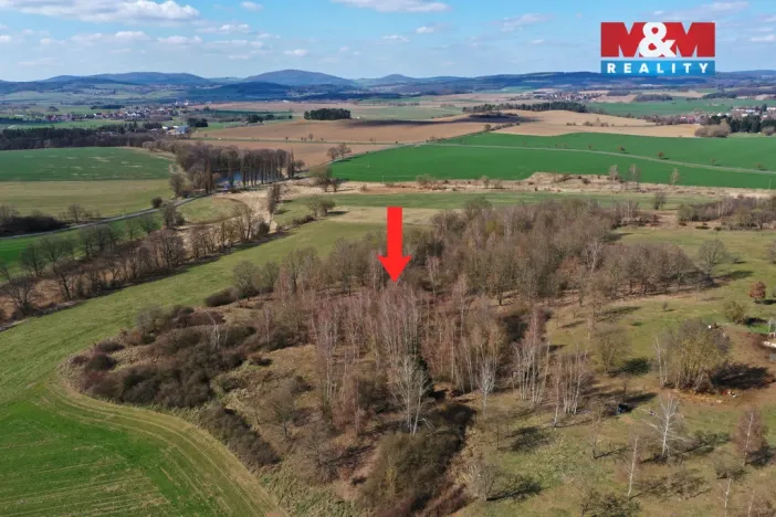 Prodej lesa, Obytce, 20042 m2