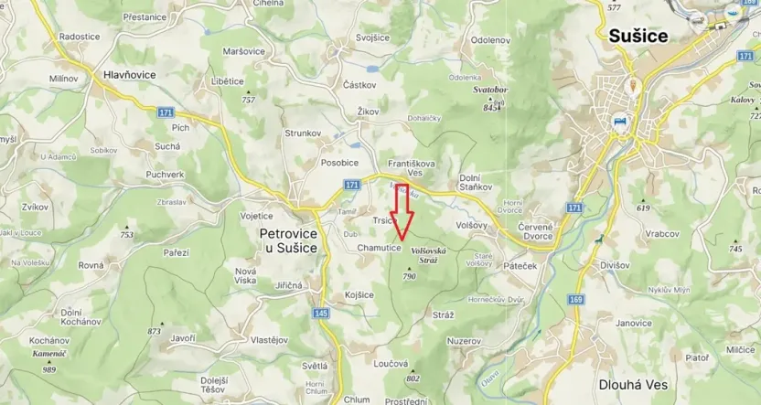 Prodej lesa, Petrovice u Sušice - Trsice, 18883 m2