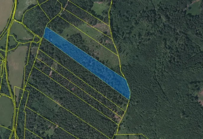 Prodej lesa, Petrovice u Sušice - Trsice, 18883 m2