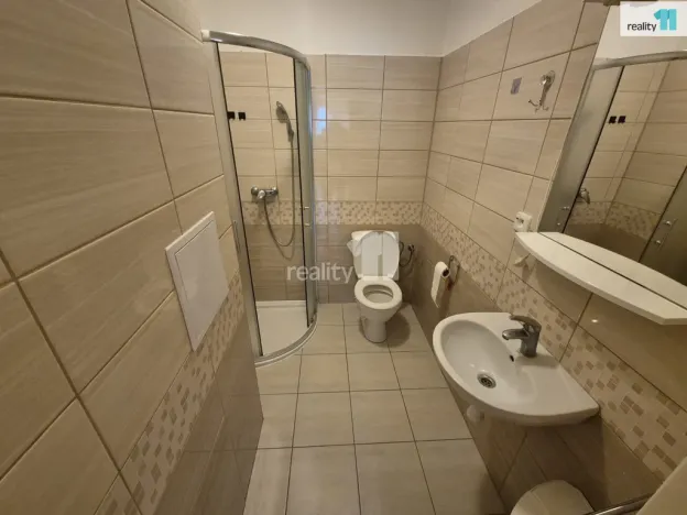 Pronájem bytu 2+1, Aš, Příbramská, 49 m2