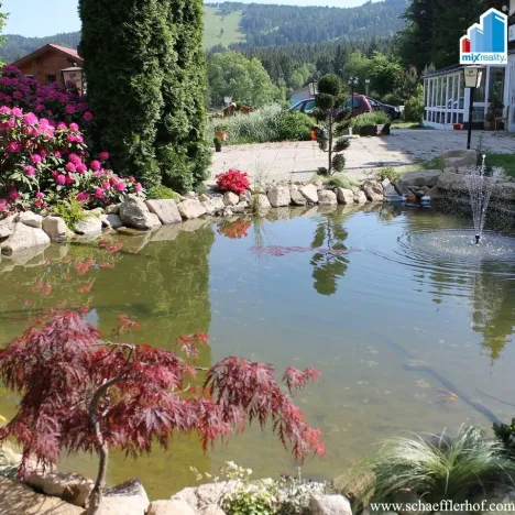 Prodej ubytování, Železná Ruda - Alžbětín, 2455 m2