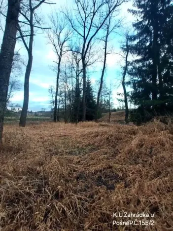 Prodej lesa, Pošná, 3636 m2