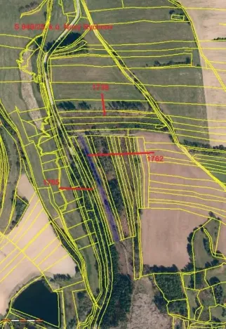 Prodej lesa, Nový Rychnov, 7440 m2