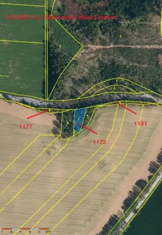 Prodej lesa, Nová Cerekev, 1967 m2