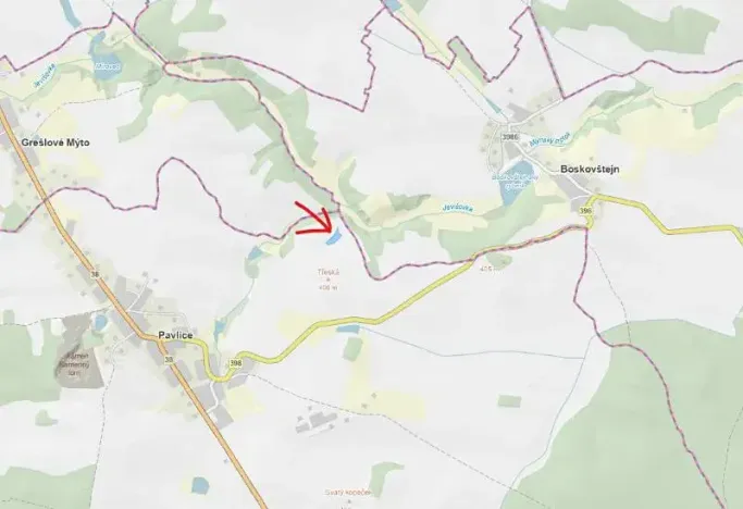 Prodej lesa, Pavlice, 3317 m2