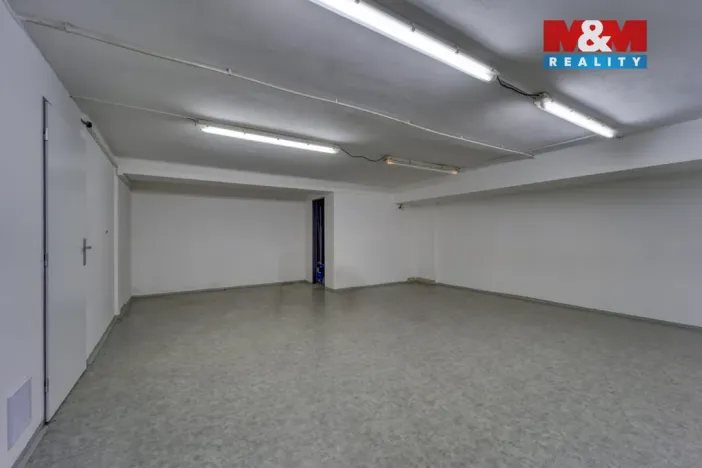 Pronájem obchodního prostoru, Plzeň - Východní Předměstí, Americká, 1603 m2