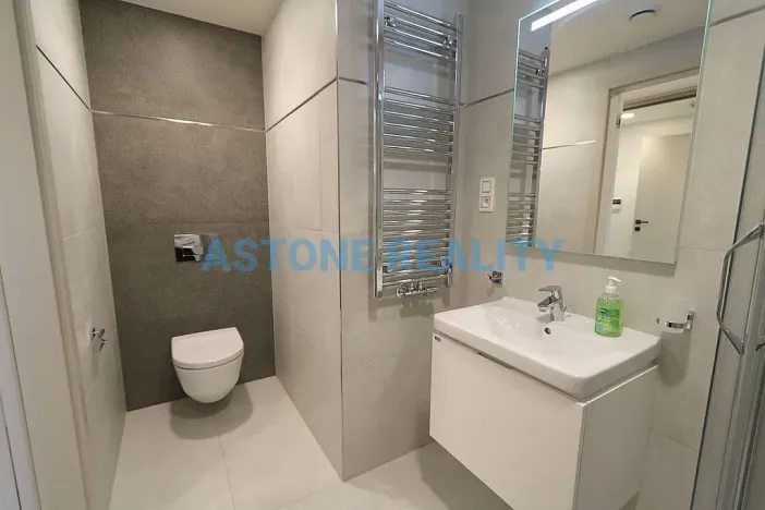 Pronájem bytu 1+kk, Praha - Žižkov, Šrámkové, 43 m2