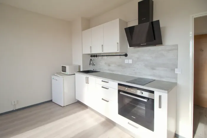 Pronájem bytu 1+kk, Plzeň - Bolevec, Tachovská, 29 m2