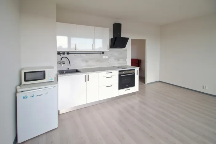 Pronájem bytu 1+kk, Plzeň - Bolevec, Tachovská, 29 m2