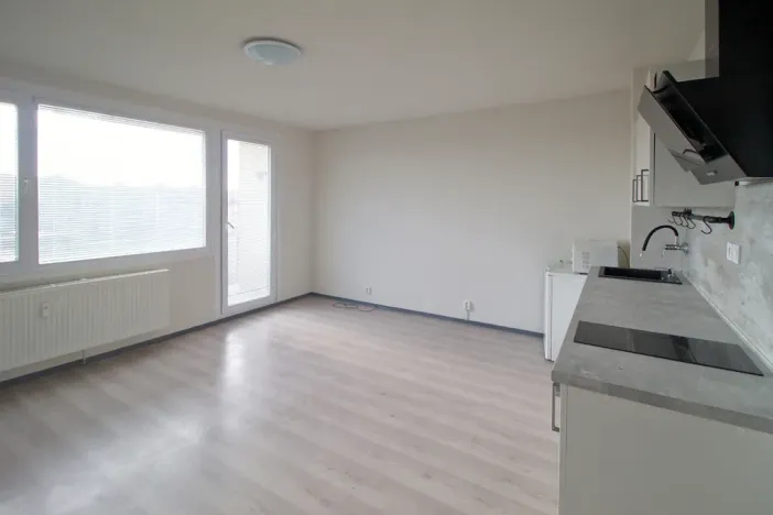 Pronájem bytu 1+kk, Plzeň - Bolevec, Tachovská, 29 m2