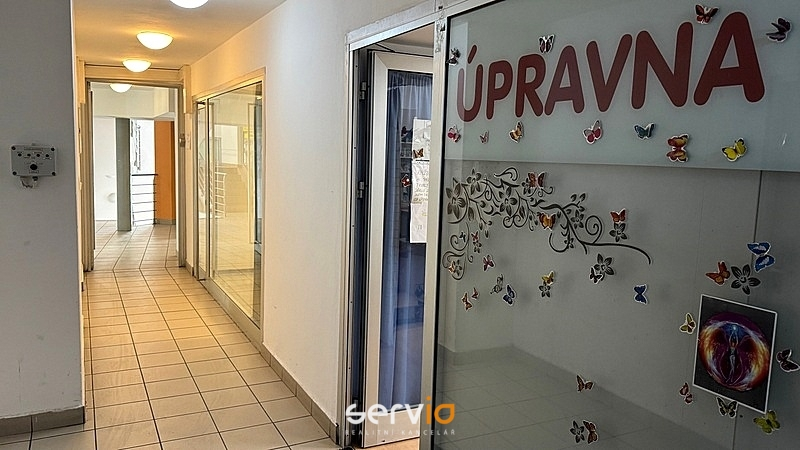 Pronájem obchodního prostoru, Brno, Masarykova, 30 m2