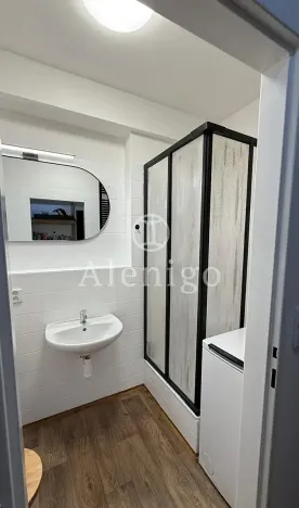 Prodej bytu 1+kk, Praha - Kbely, Pod Nouzovem, 44 m2