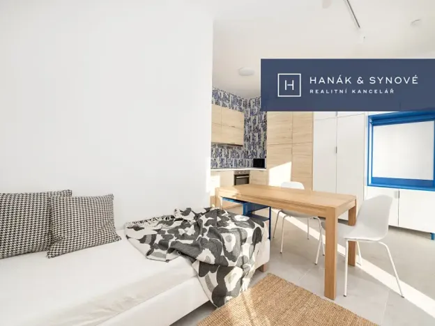 Pronájem bytu 1+kk, Brno, Francouzská, 26 m2