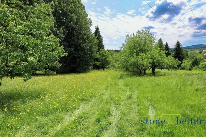 Prodej zemědělské usedlosti, Božanov, 290 m2