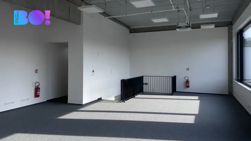 Pronájem obchodního prostoru, Brno - Černovice, 439 m2