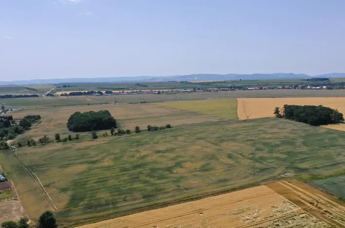 Prodej pozemku pro bydlení, Údlice, Kamenná cesta, 25226 m2