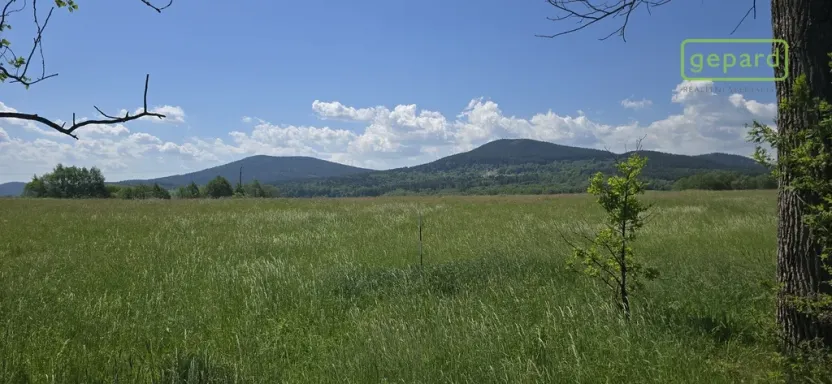Prodej pozemku pro bydlení, Horní Stropnice, 7197 m2