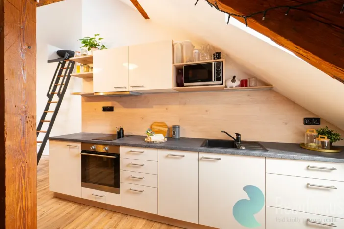 Prodej vícegeneračního domu, České Budějovice, Fr. Hrubína, 212 m2