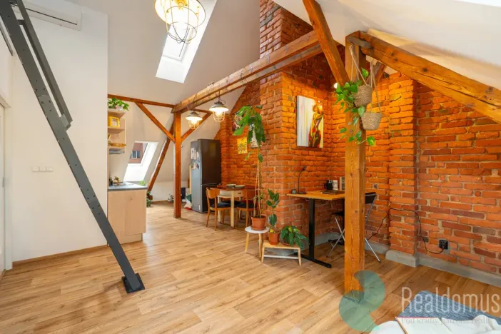 Prodej vícegeneračního domu, České Budějovice, Fr. Hrubína, 212 m2