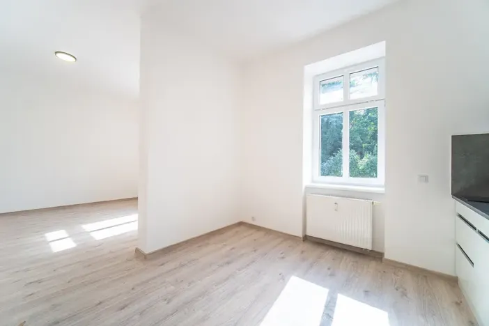 Pronájem bytu 1+1, Praha - Libeň, Pod Labuťkou, 40 m2