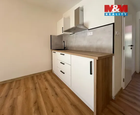 Pronájem bytu 1+kk, Chomutov, Lipská, 38 m2