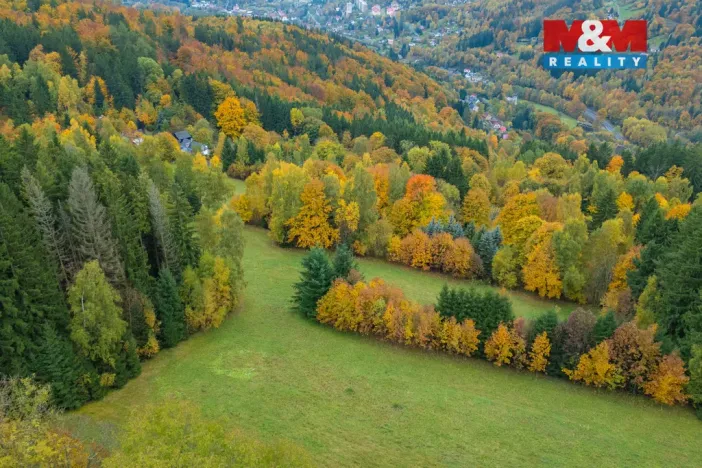 Prodej louky, Tanvald - Šumburk nad Desnou, 2029 m2