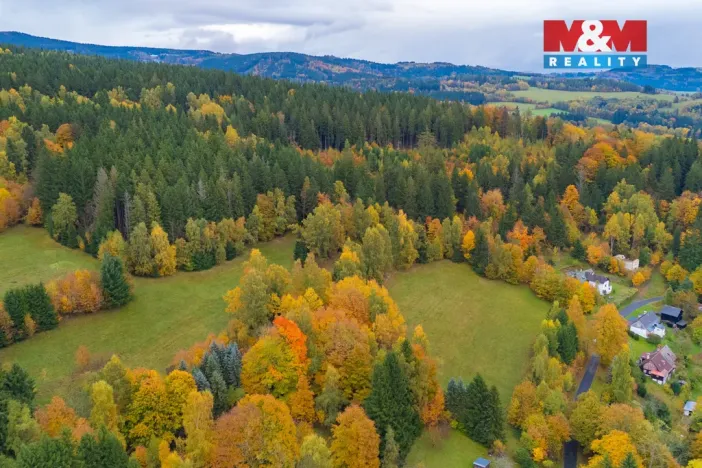 Prodej louky, Tanvald - Šumburk nad Desnou, 2029 m2