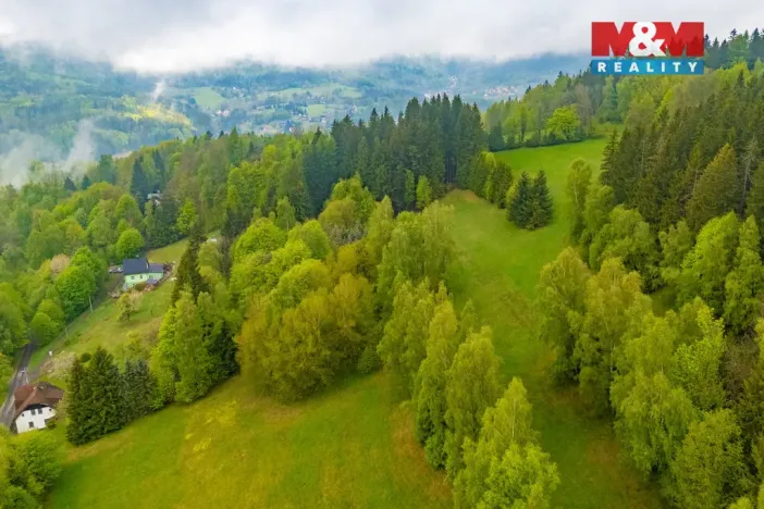 Prodej louky, Tanvald - Šumburk nad Desnou, 1444 m2